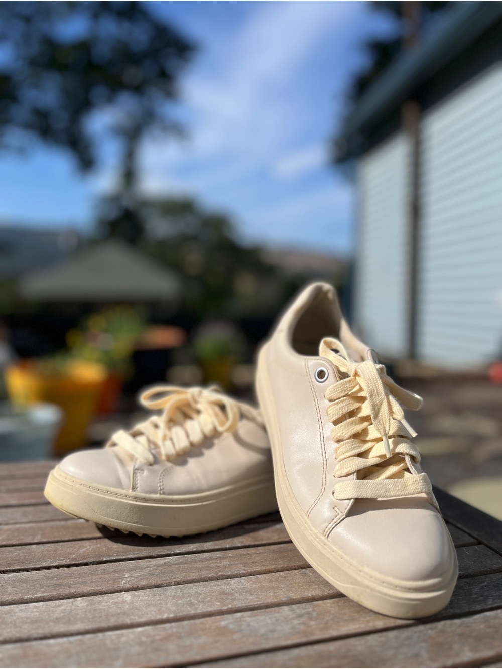 Steve Madden Cream Leather Sneakers